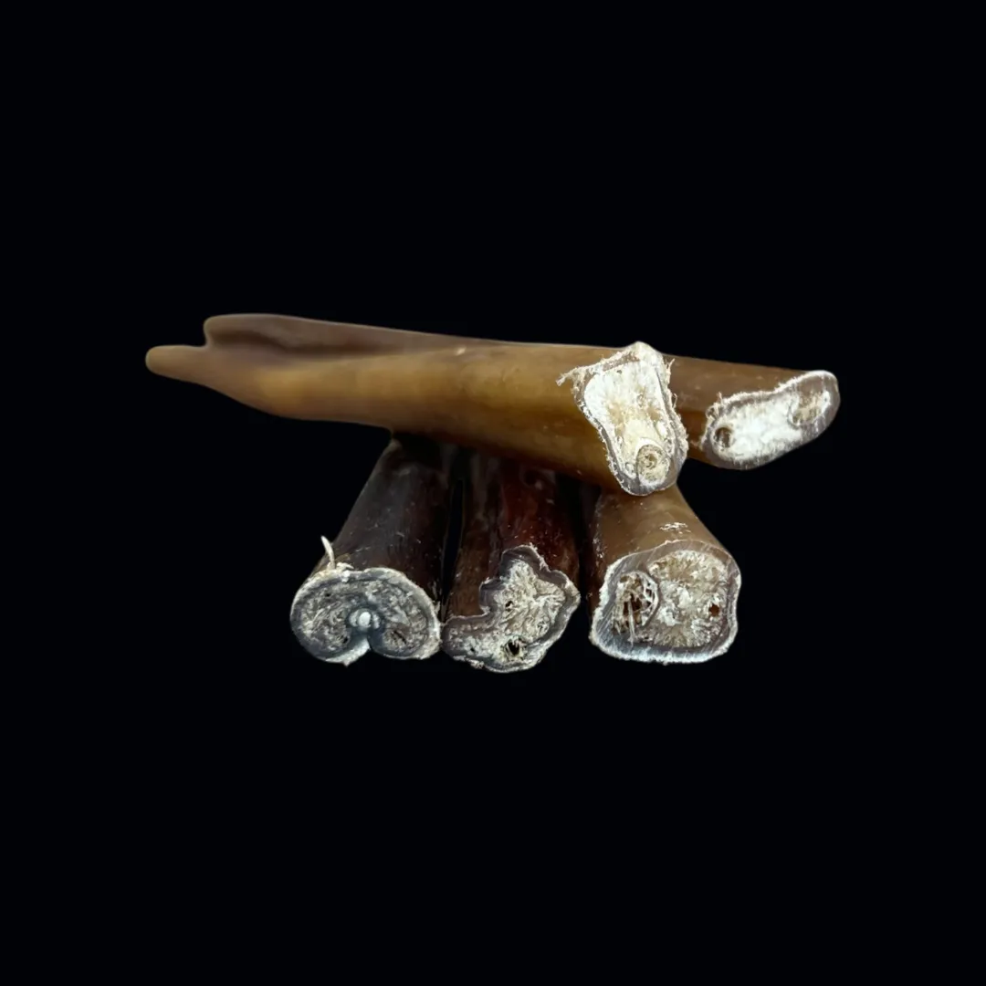 12” Bully Sticks - 6 Pack - Special Offer