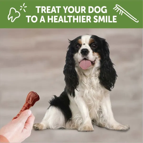 12 Count WHIMZEES® Brusheez Medium Daily Dental Treat for Dogs- 12.7 oz