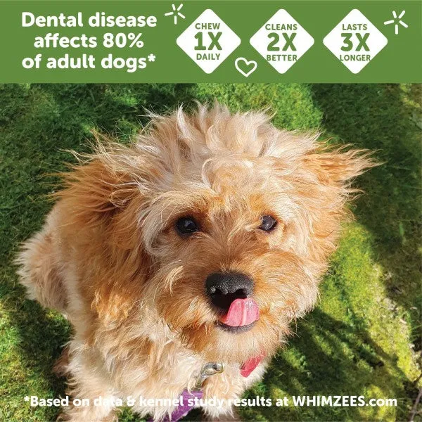 12 Count WHIMZEES® Brusheez Medium Daily Dental Treat for Dogs- 12.7 oz
