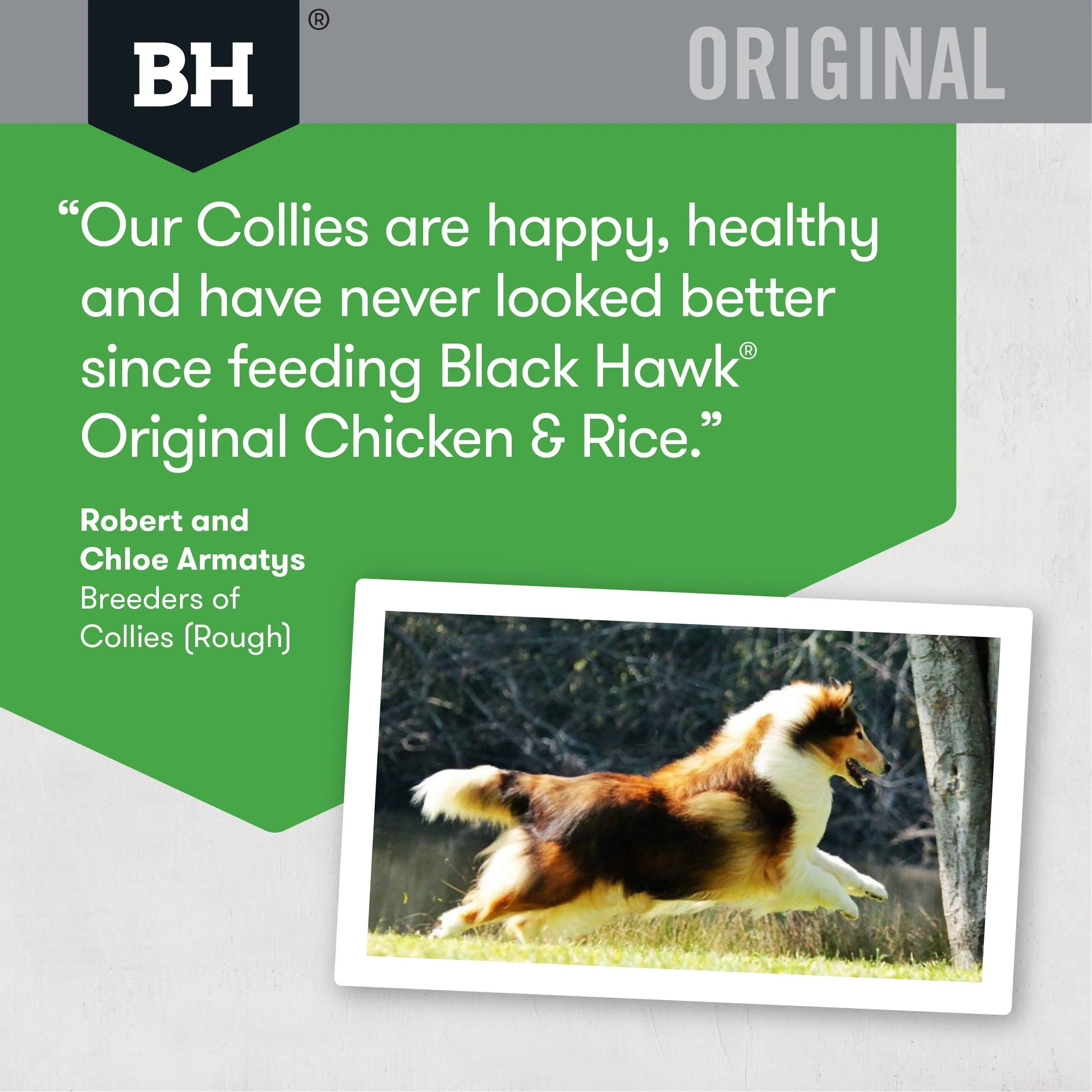Black Hawk Original Chicken and Rice Dry Dog Food 20kg^^^