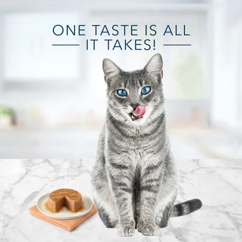 Blue Buffalo Tastefuls Natural Pate Wet Cat Food, Chicken Entrée, Case Of 12
