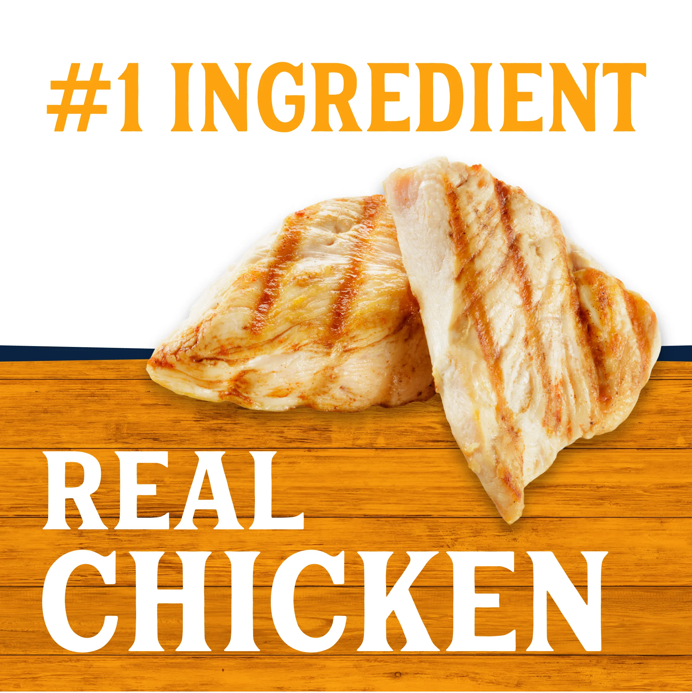 Chicken Recipe Wet Dog Food | 13.2 oz - 12 pk | Triumph