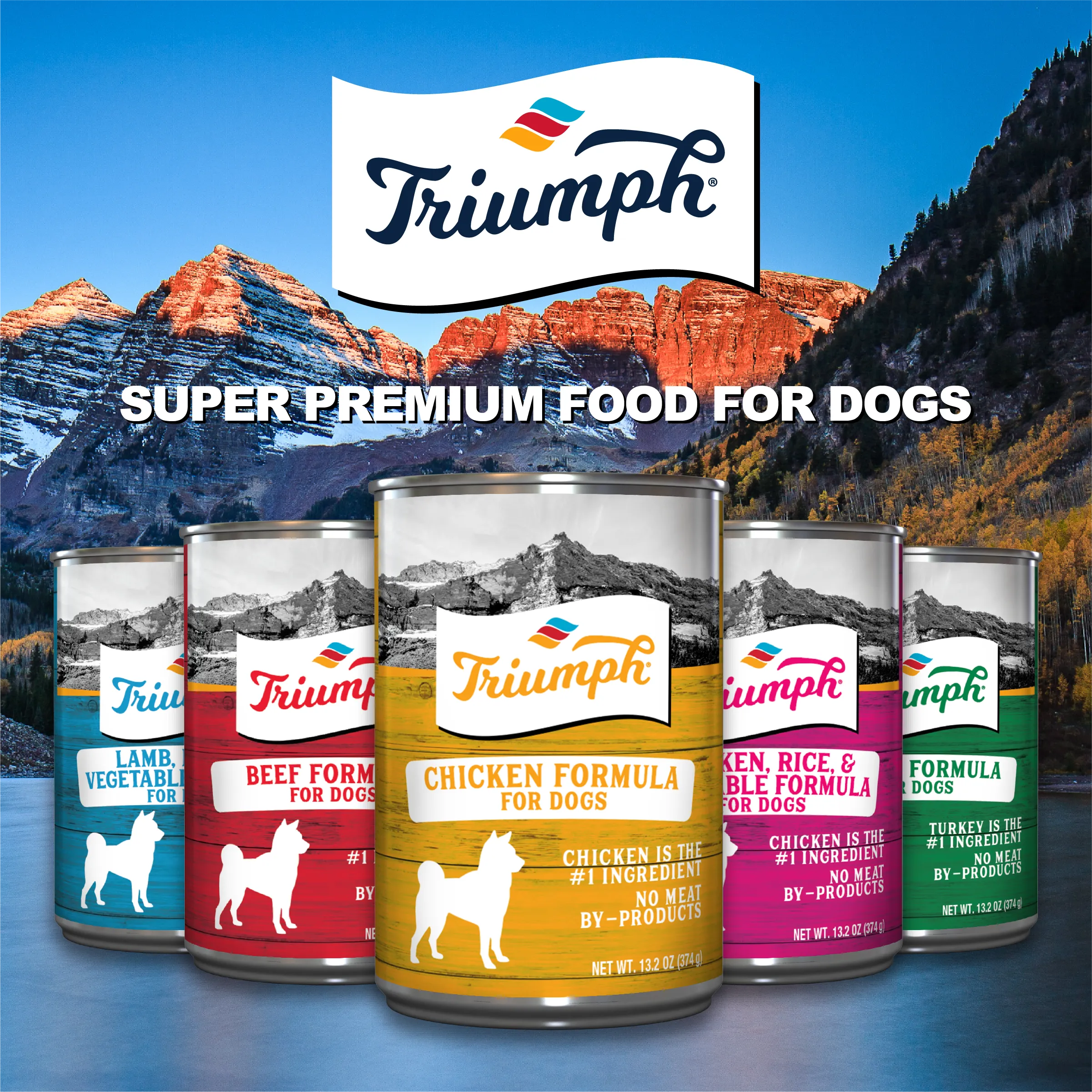 Chicken Recipe Wet Dog Food | 13.2 oz - 12 pk | Triumph