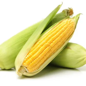  Corn