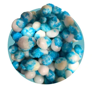 Freeze Dried Custom Flavored Moon Rocks (Skittles)