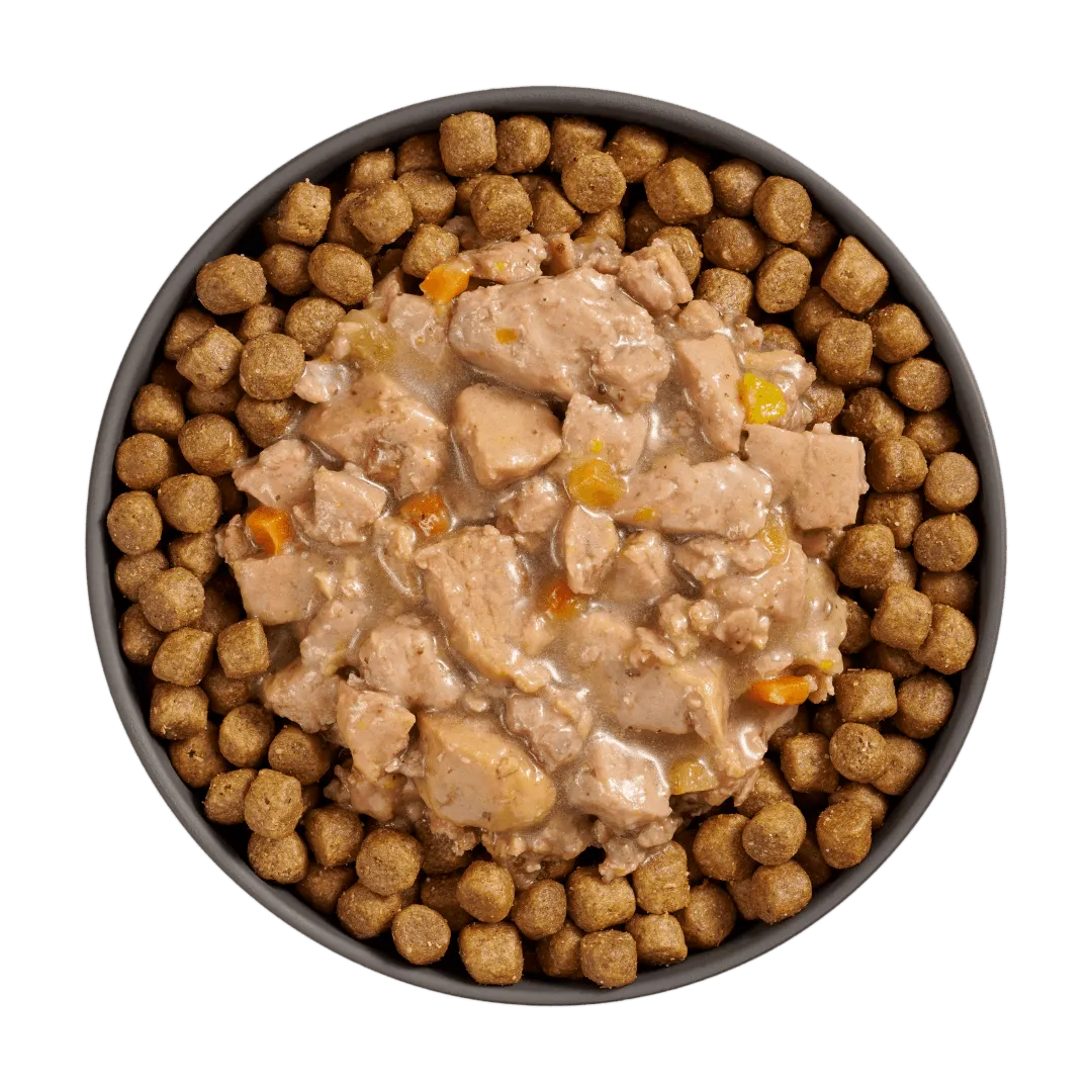 Go! Booster Digestive Health Minced Chicken   Duck with gravy for cats