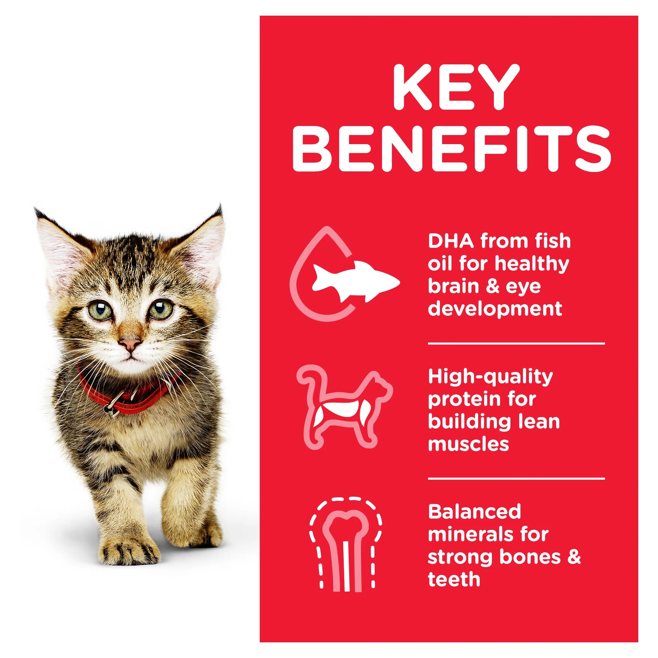 Hill's Science Diet Kitten Chicken Pouch Cat Food 85g x 12
