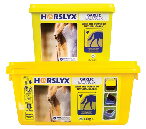 Horslyx 15Kg