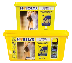 Horslyx 15Kg