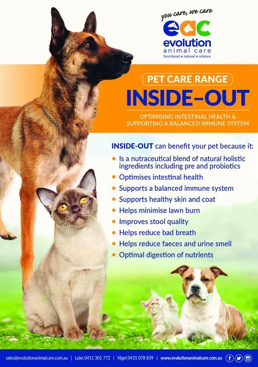 Inside Out - Dog
