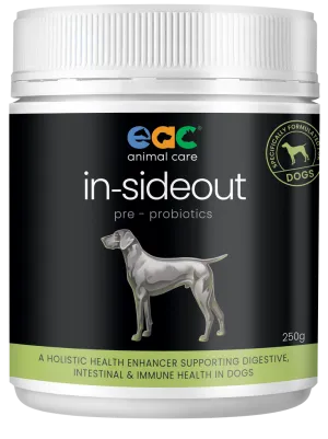 Inside Out - Dog