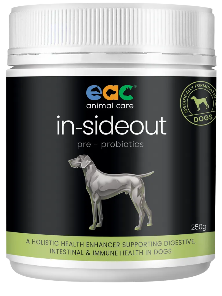 Inside Out - Dog