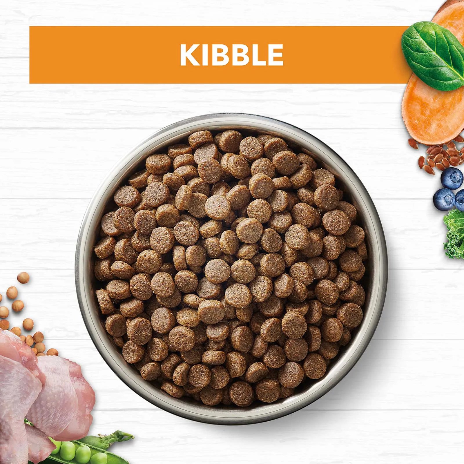 Ivory Coat Grain Free Cat Food Adult Chicken