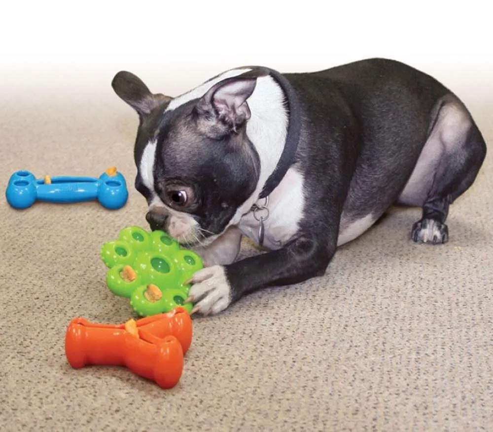 Kong Quest Wishbone Treat Dispensing Dog Toy Small