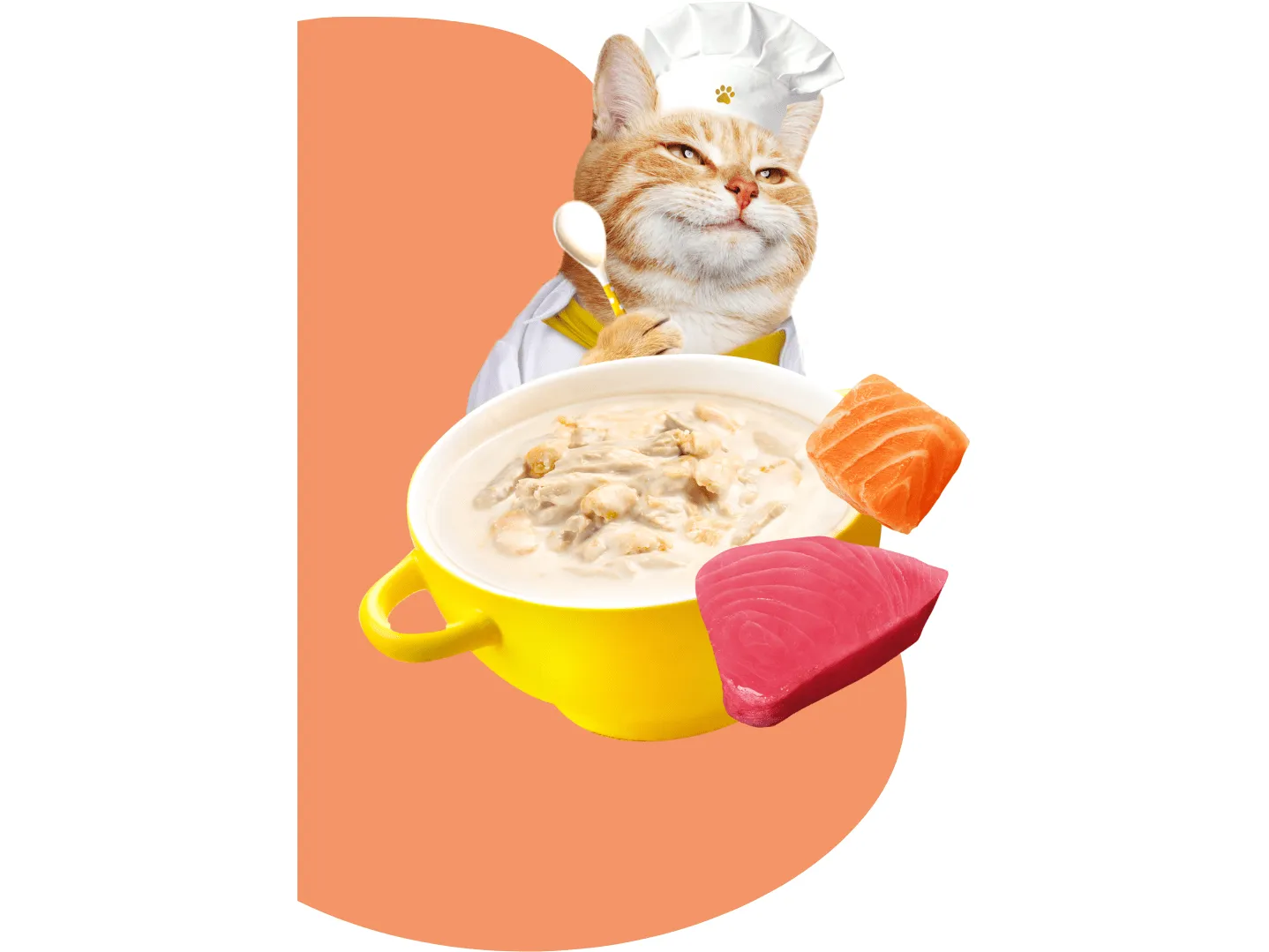 Moochie Broth Tuna & Salmon 16x40g Pouchs