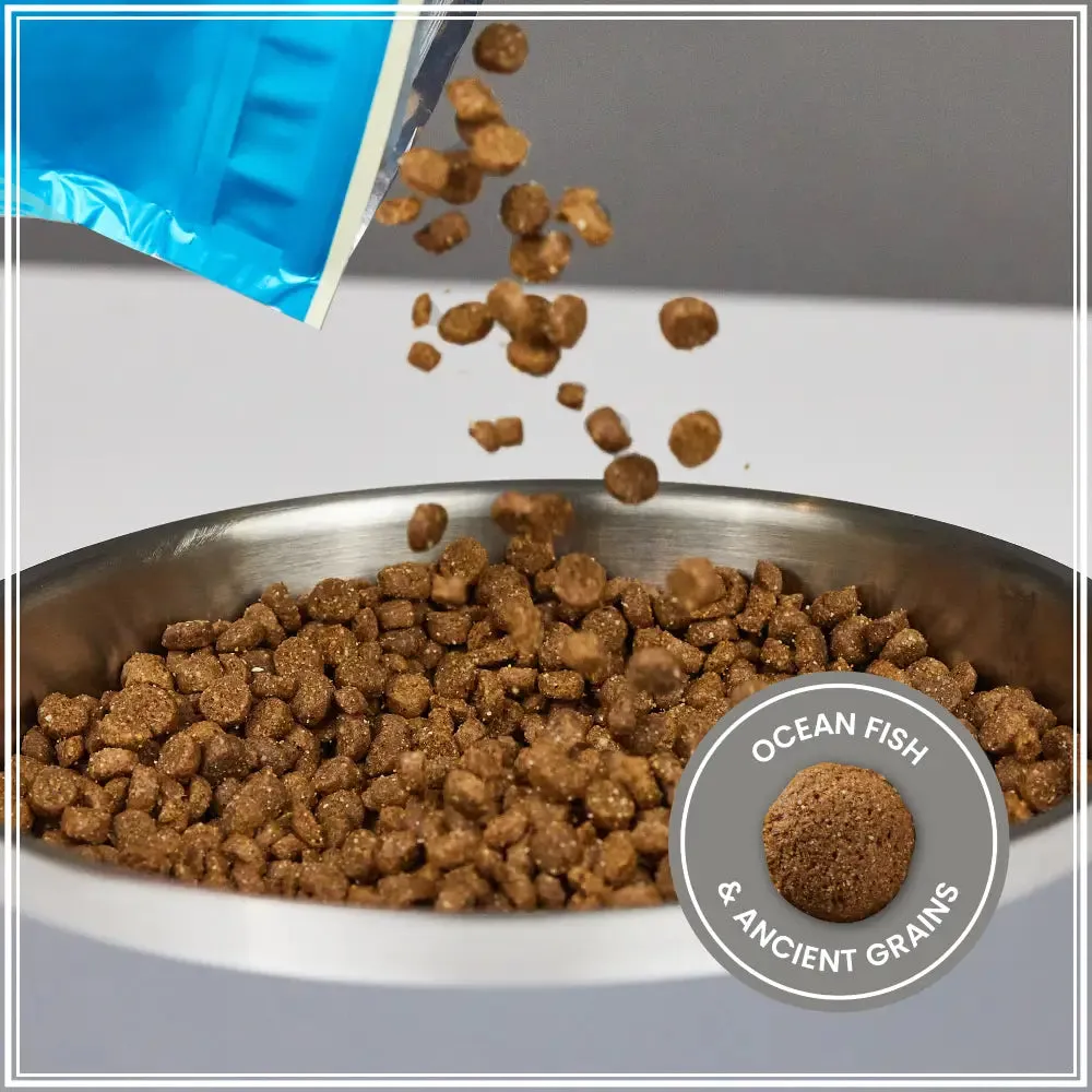 Muenster Ancient Grains Recipe with Ocean Fish Dog Food