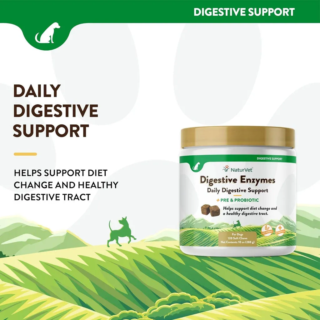 NaturVet Digestive Enzymes Soft Chews Daily Digestive Support Plus Pre & Probiotic for Dogs, 120 count