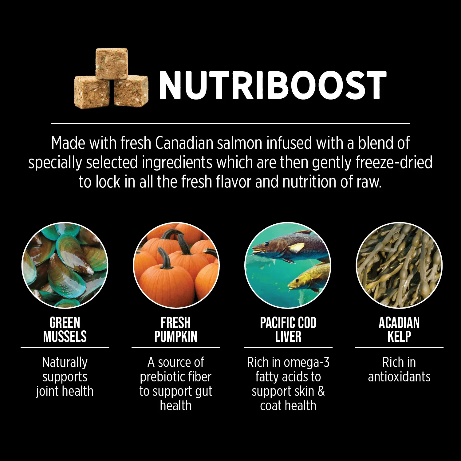 Nutrience Grain Free Cat Food SubZero Canadian Pacific