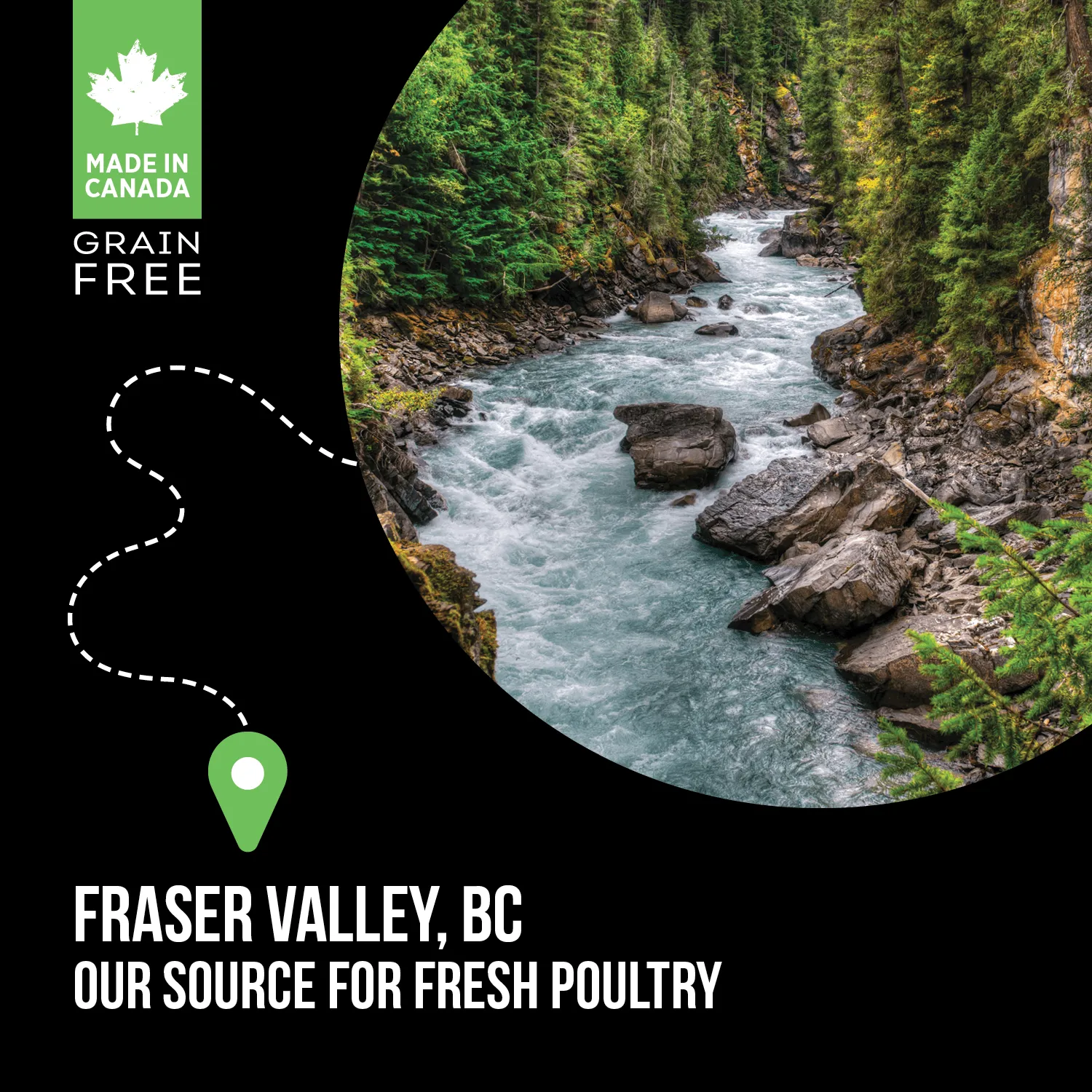 Nutrience Grain Free Puppy Food SubZero Fraser Valley