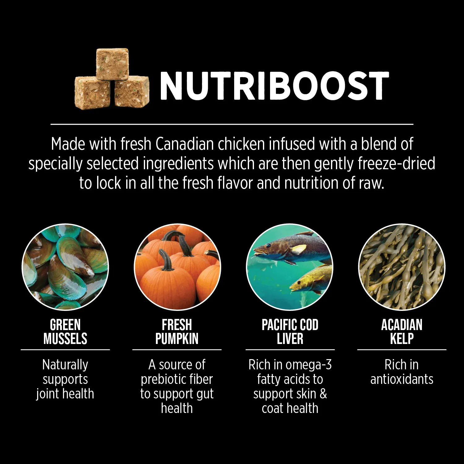 Nutrience Grain Free Puppy Food SubZero Fraser Valley