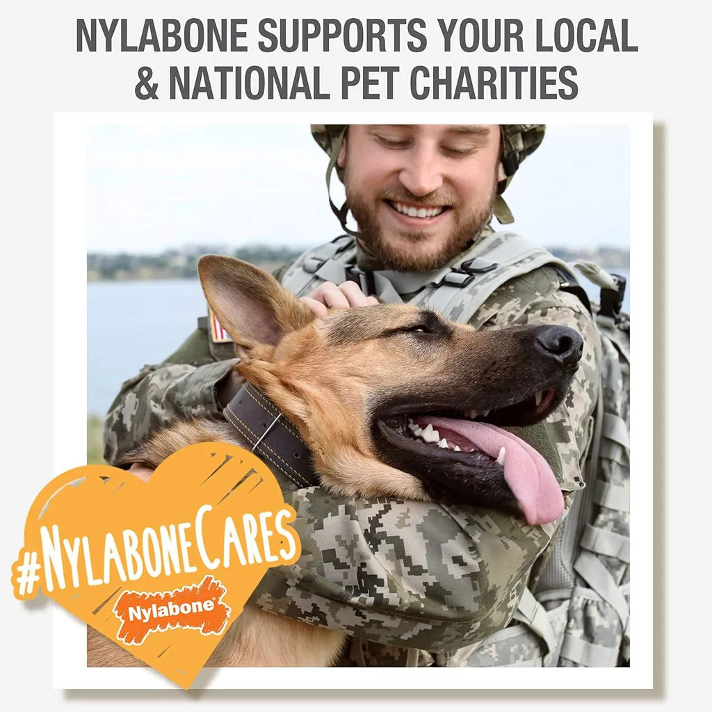 Nylabone Healthy Edibles and Flexi Chew Value Pack, Chicken & Bacon Flavor, X-Small
