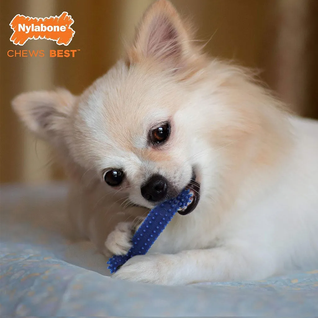 Nylabone Healthy Edibles and Flexi Chew Value Pack, Chicken & Bacon Flavor, X-Small