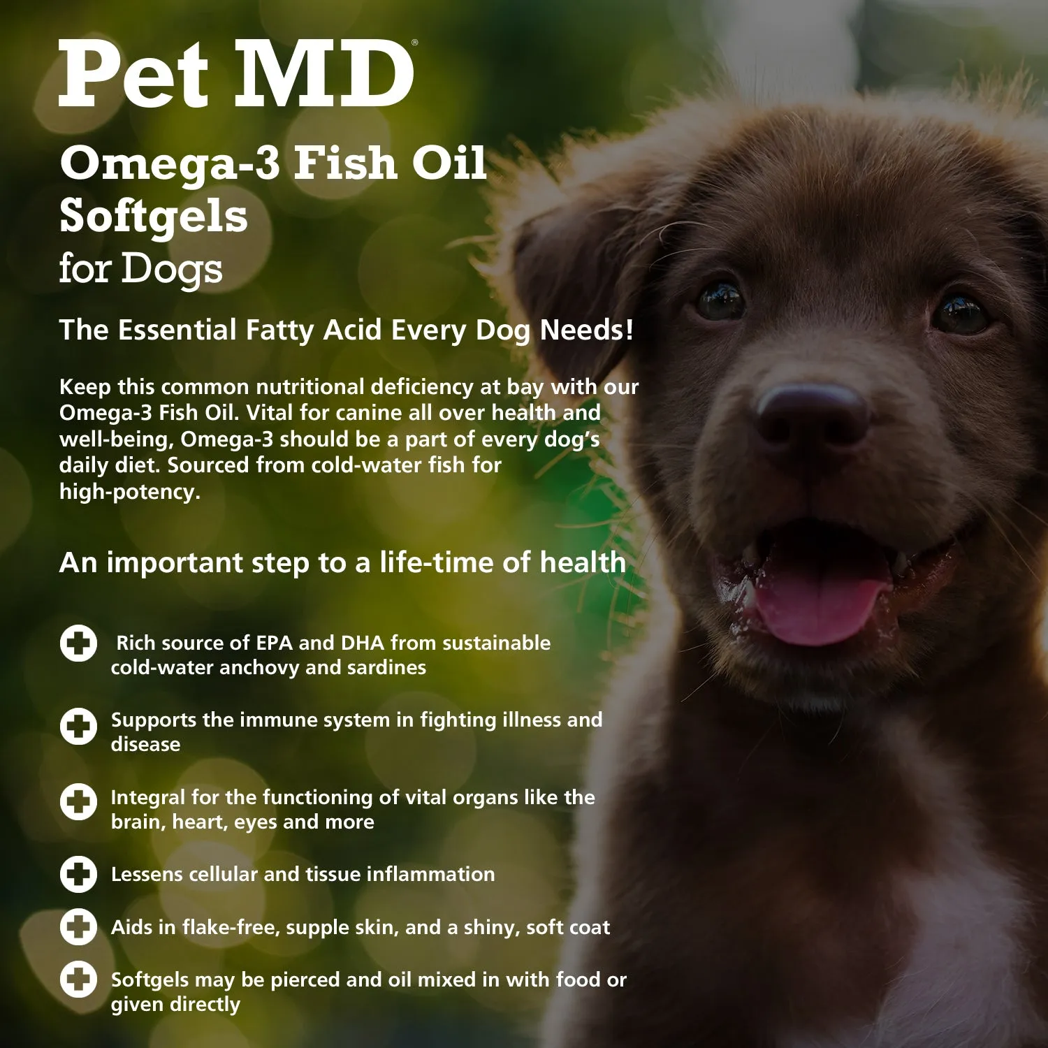 Omega-3 Fish Oil Softgels for Dogs – 180 Count
