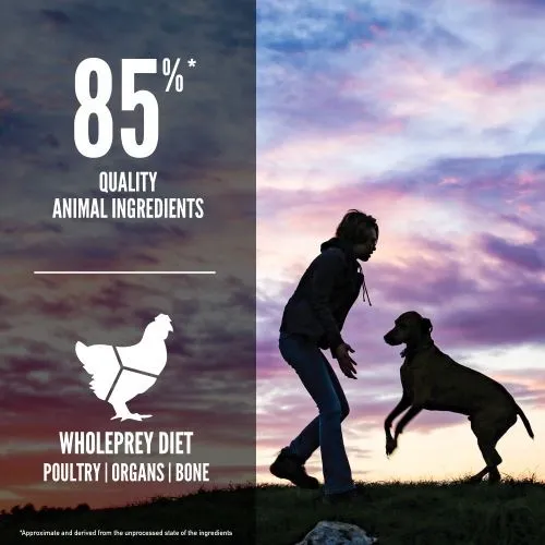 Orijen Grain Free Dry Puppy Food for Large Breeds 6kg