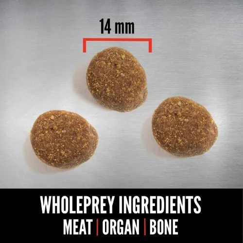 Orijen Grain Free Dry Puppy Food for Large Breeds 6kg