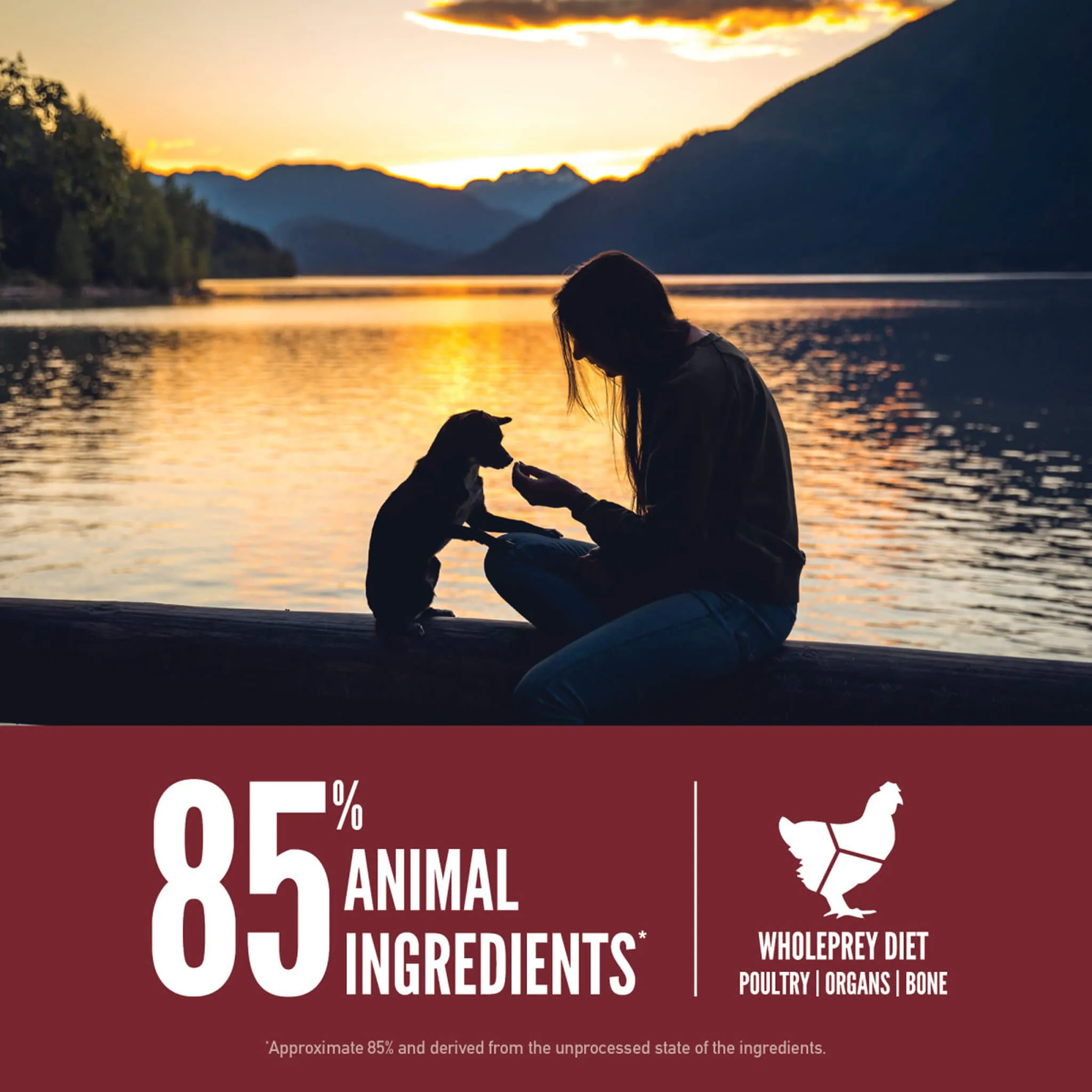 Orijen Grain Free Small Breed Dog Food