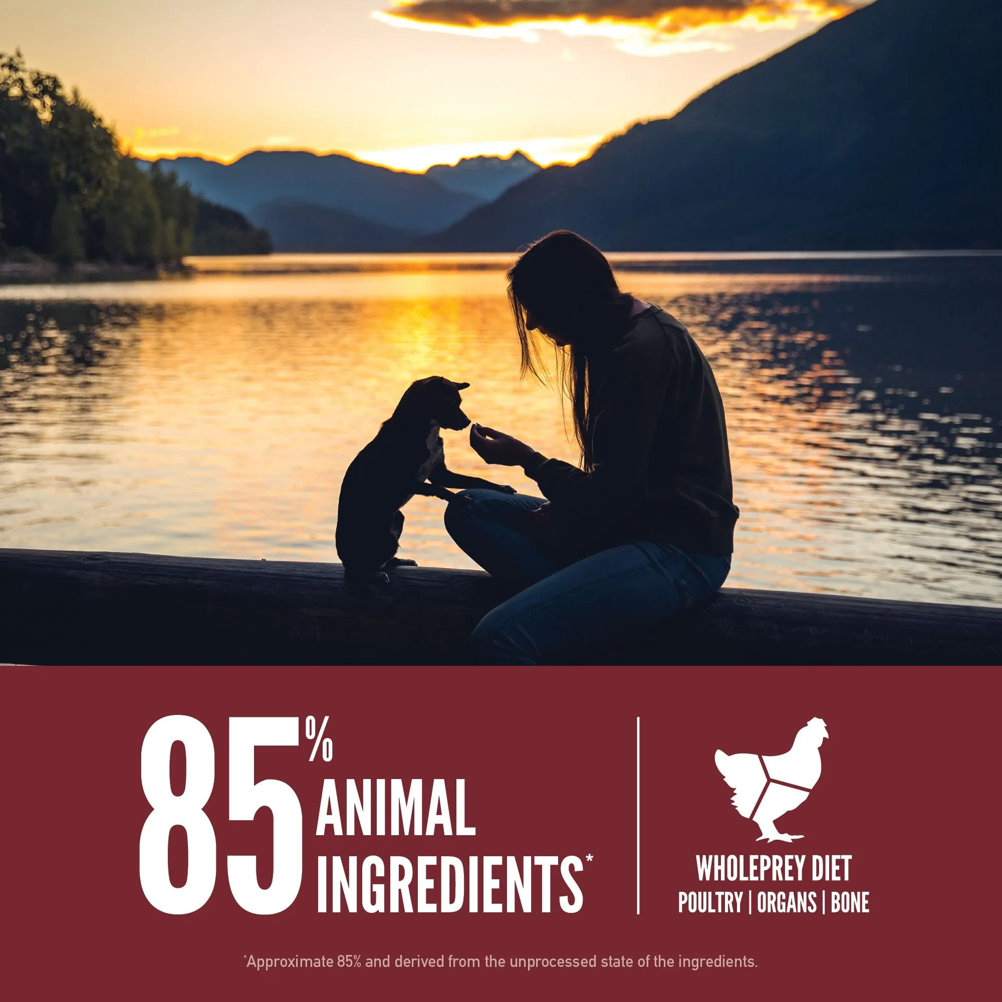 ORIJEN Small Breed Biologically Appropriate Dry Dog Food 4.5kg