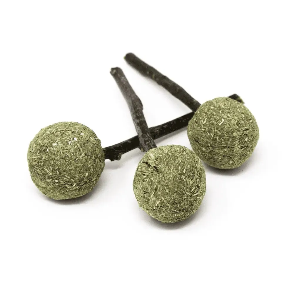 Oxbow Enriched Life Timmy Pops, Small Animal Chew