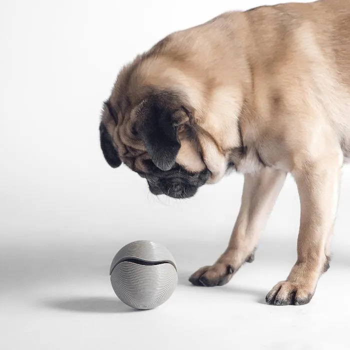 PIDAN TREAT DISPENSER DOG BALL - GREY