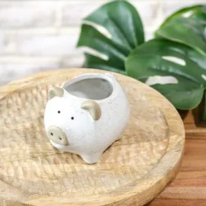Pig Planter