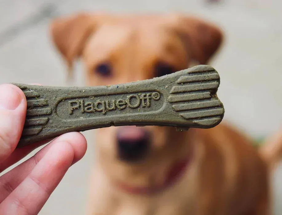 ProDen Plaque Off - Dental Dog Bones - Bacon