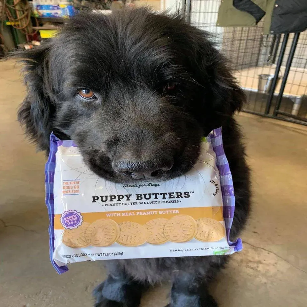 Puppy Butters Peanut Butter Cookies 11.8 Oz