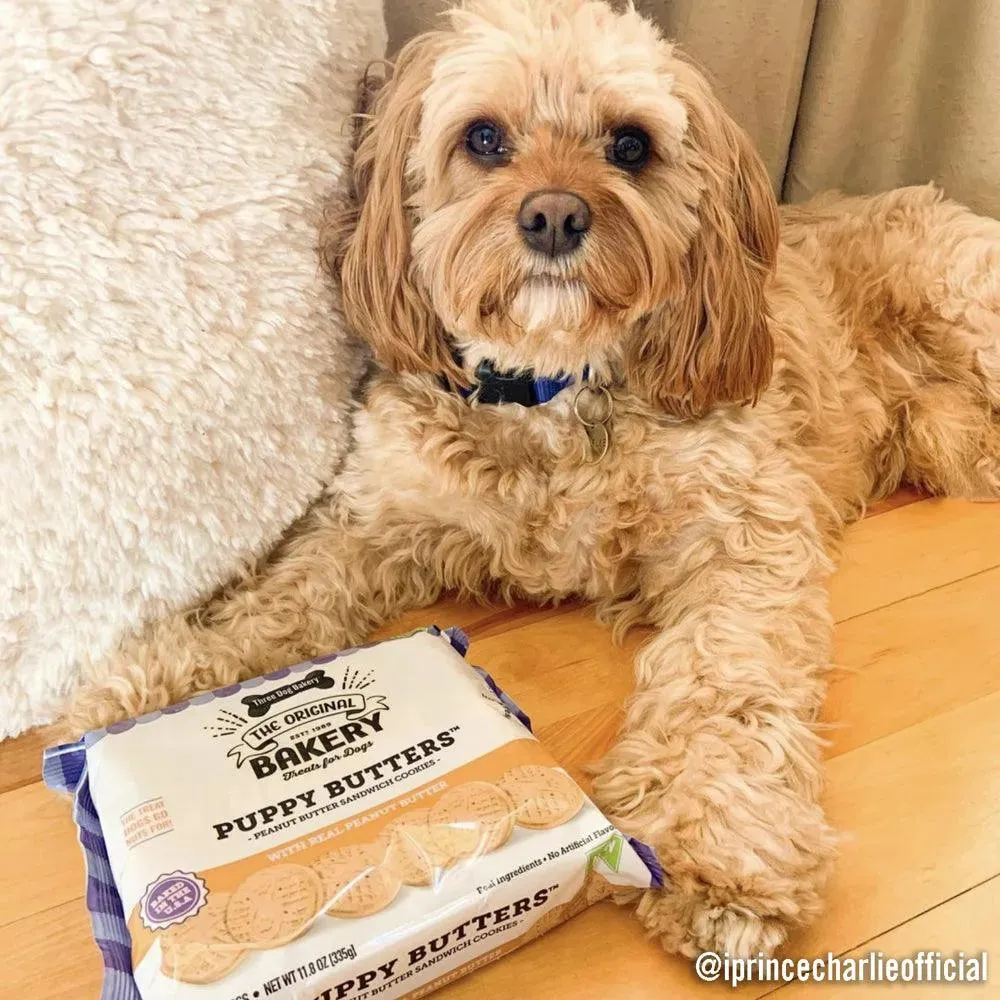 Puppy Butters Peanut Butter Cookies 11.8 Oz