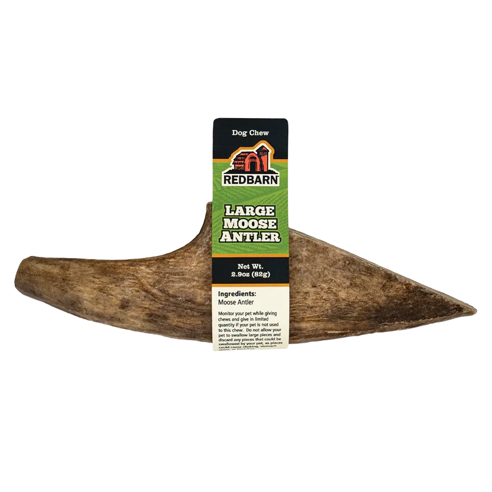 Redbarn Moose Antler, Dog Chew