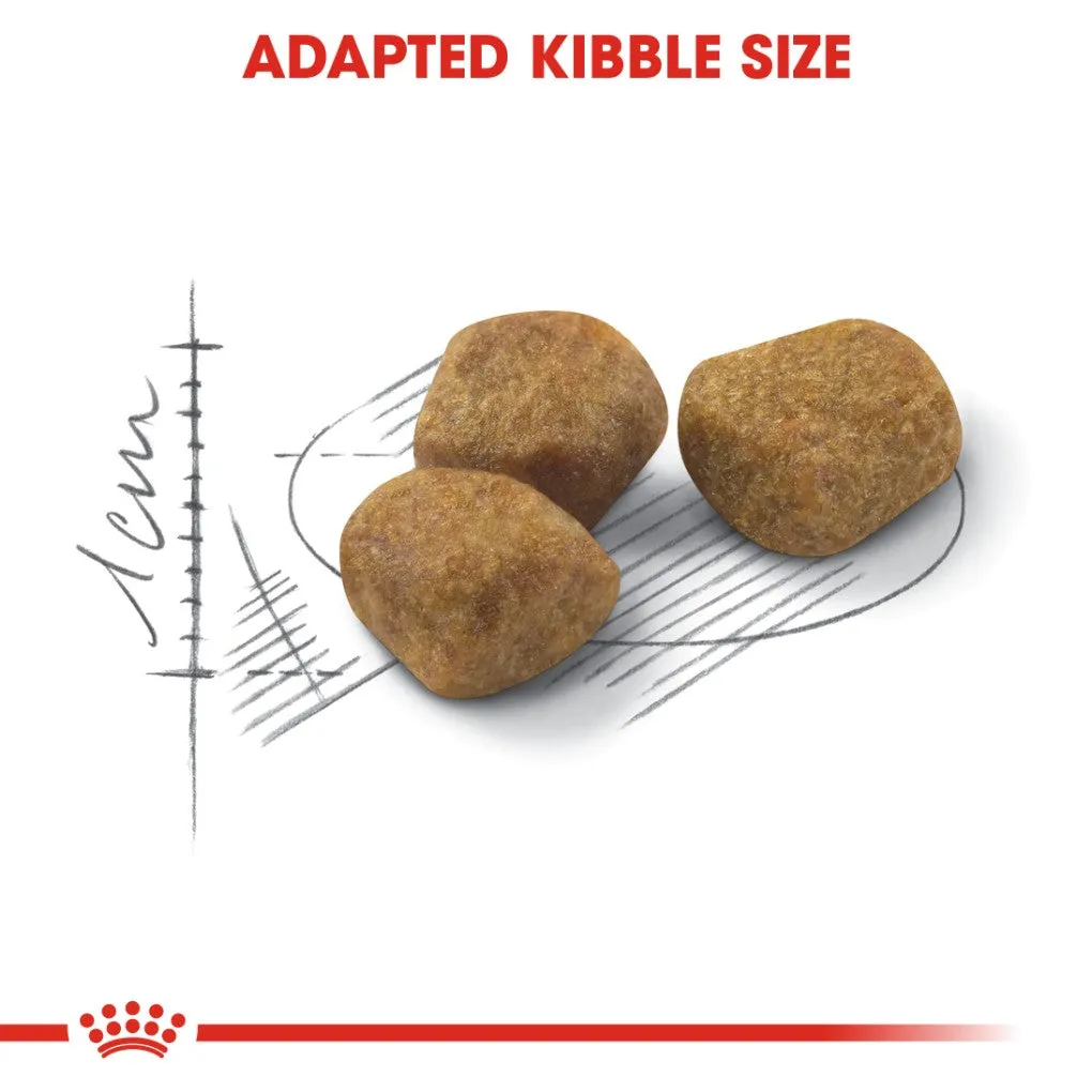 Royal Canin Indoor 7  Adult Cat