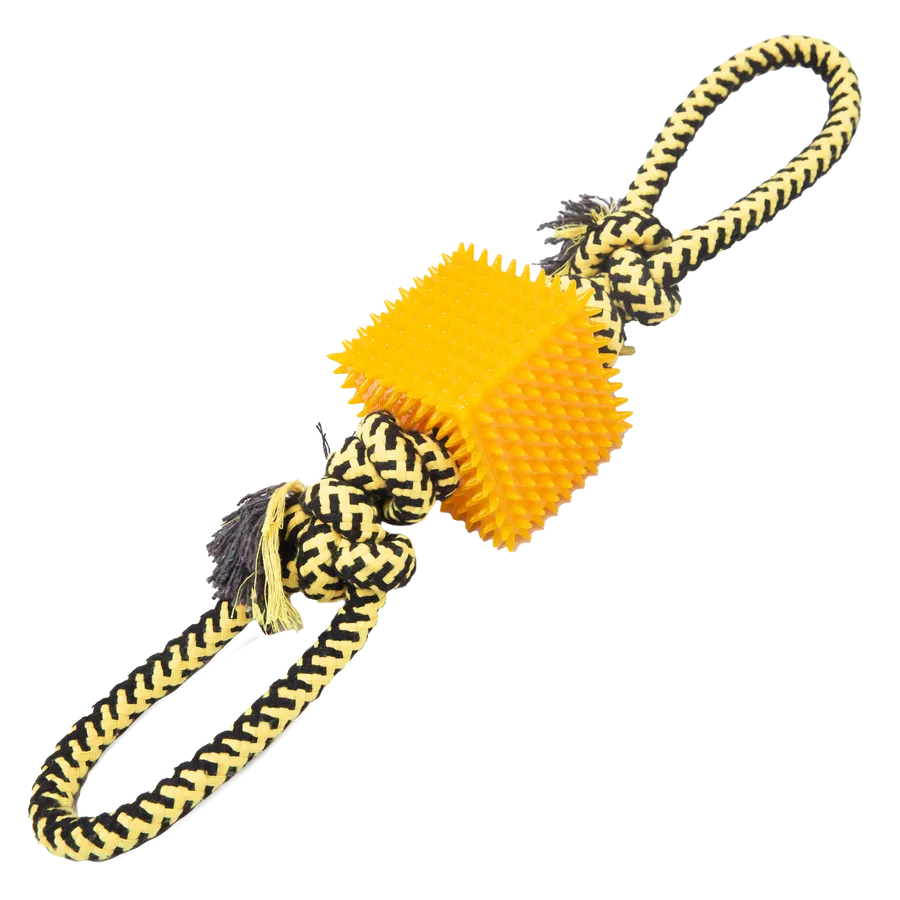 Snugarooz Tug N Cube Dog Toy