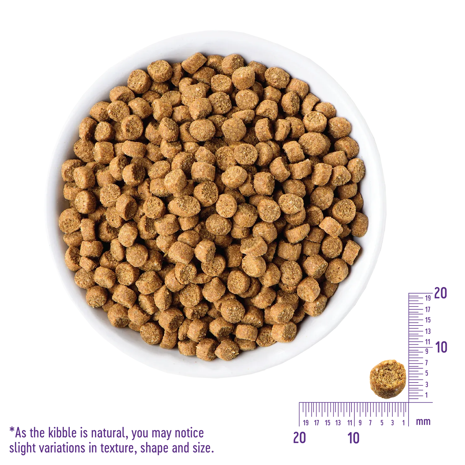 Wellness Complete Health™ Grain Free Indoor Chicken, Dry Cat Food, 5.5-lb Bag