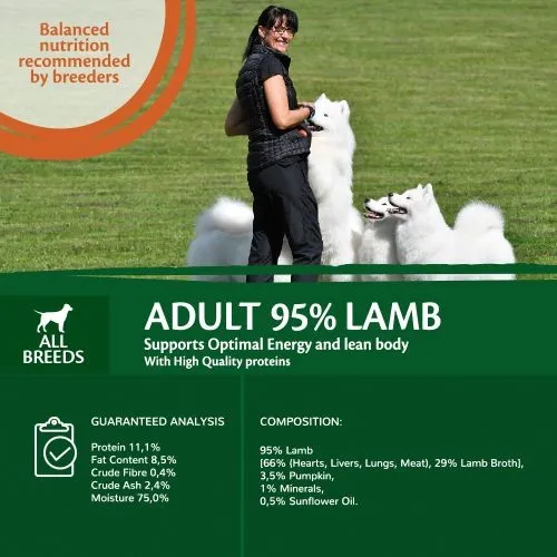 Wellness Core 95% Lamb with Pumpkin Wet Adult Grain Free Dog Food 6 x 400g