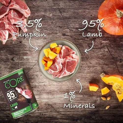 Wellness Core 95% Lamb with Pumpkin Wet Adult Grain Free Dog Food 6 x 400g