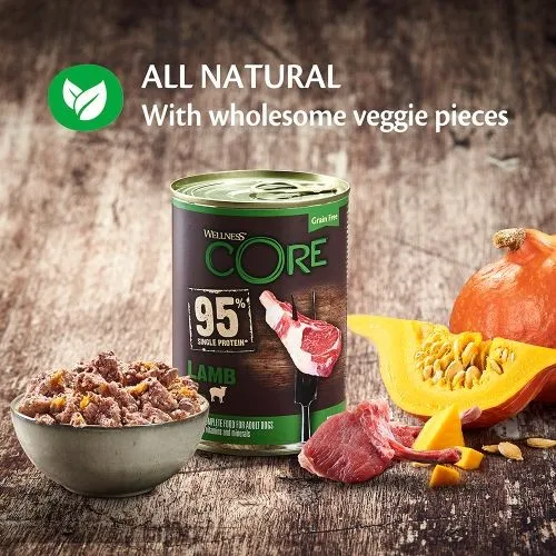 Wellness Core 95% Lamb with Pumpkin Wet Adult Grain Free Dog Food 6 x 400g