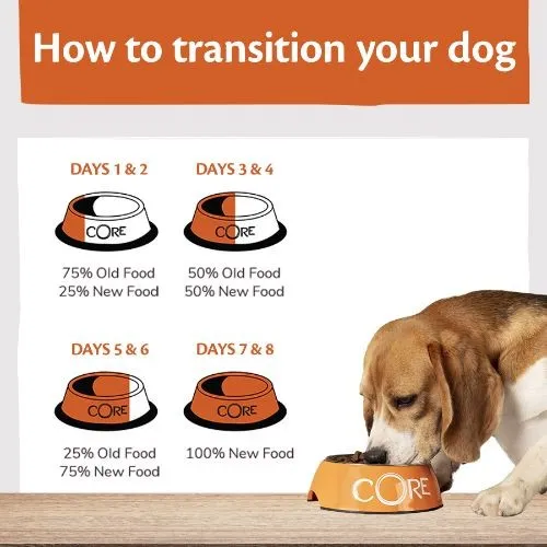 Wellness Core 95% Lamb with Pumpkin Wet Adult Grain Free Dog Food 6 x 400g
