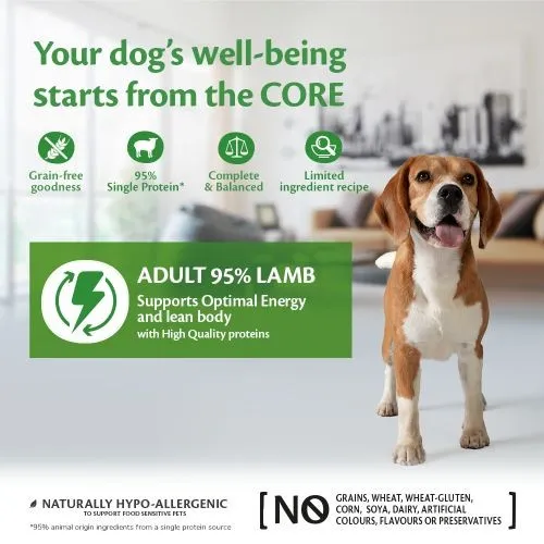 Wellness Core 95% Lamb with Pumpkin Wet Adult Grain Free Dog Food 6 x 400g