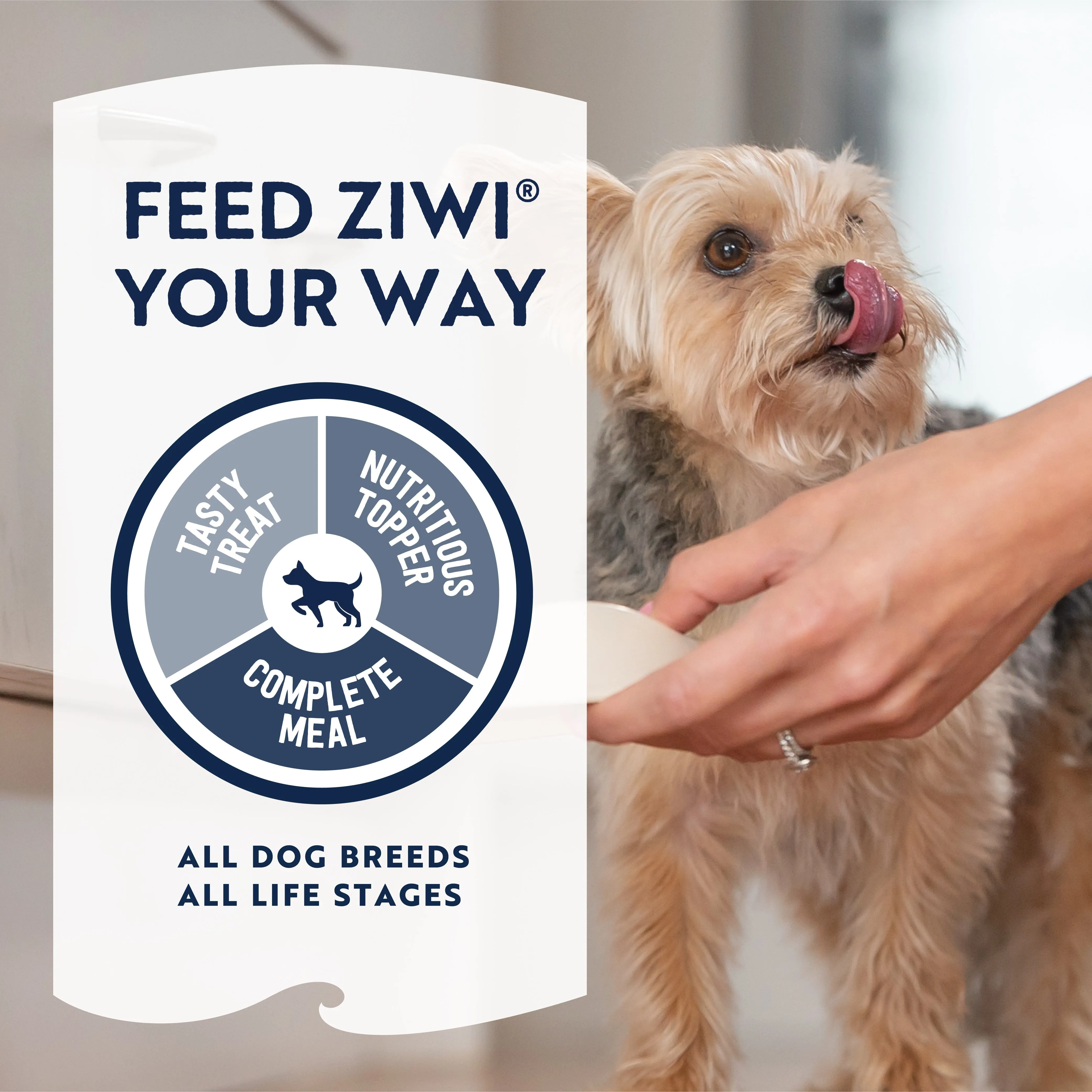 ZIWI Peak Air Dried Tripe and Lamb Recipe Dog Food 454g